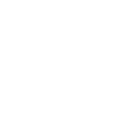 ADATA-1