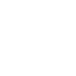 ASUS-1