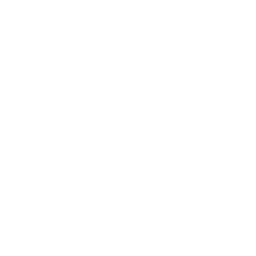 EVGA-1