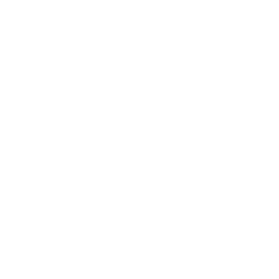 GIGABYTE-1