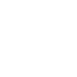 HIKSEMI-1
