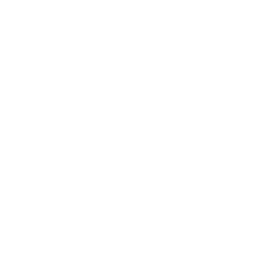 MSI-1